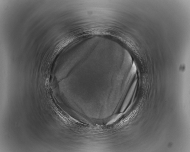 X0000098190881200805151202