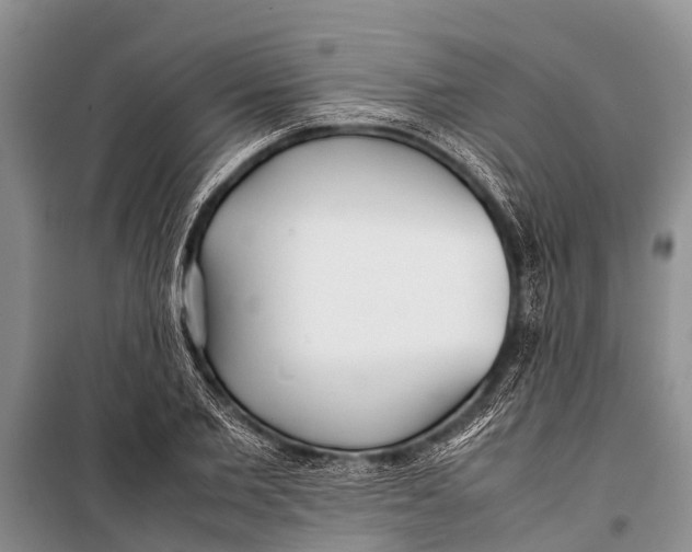 X0000098190885200805151202