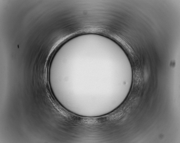X0000098190886200805151202