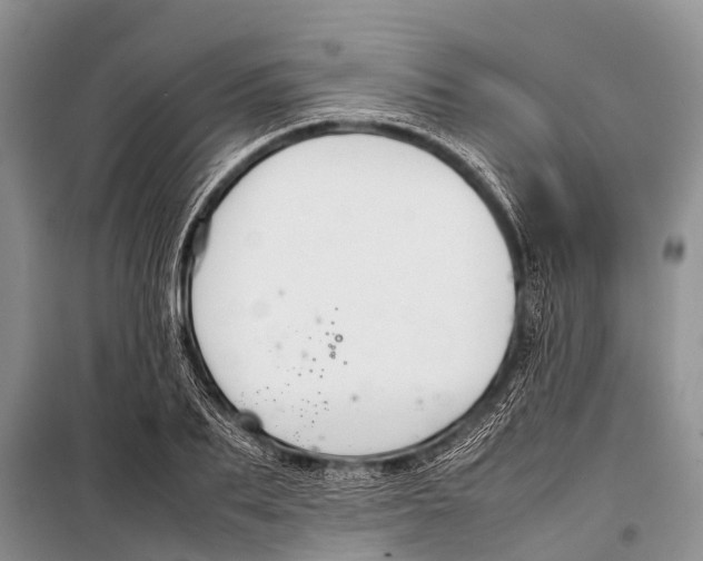 X0000098190887200805151202