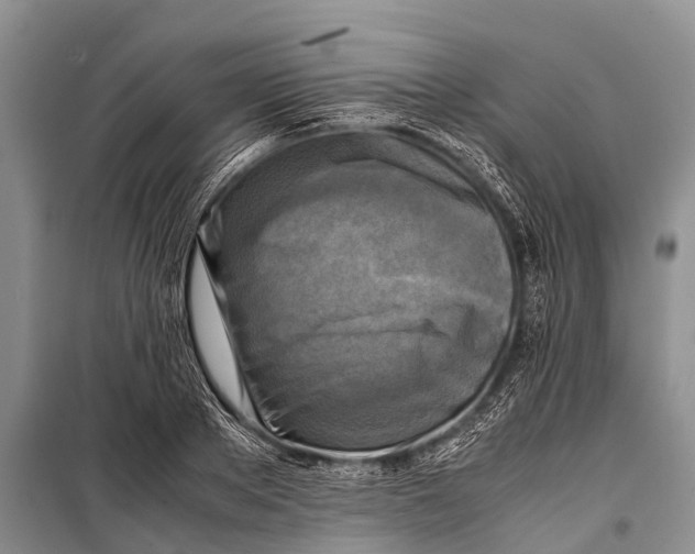 X0000098190889200805151202