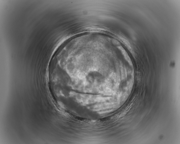 X0000098190891200805151202