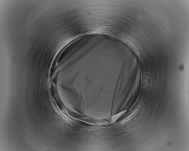 X0000098190892200805151202