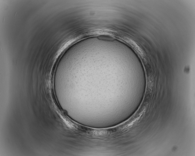 X0000098190893200805151202