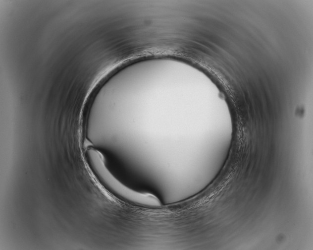 X0000098190894200805151202