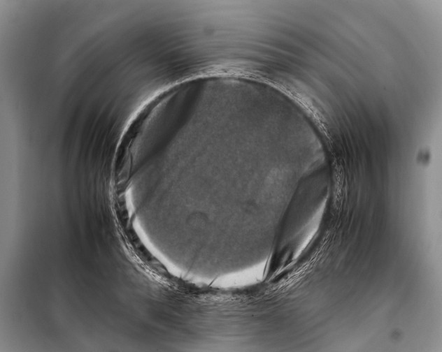 X0000098190896200805151202