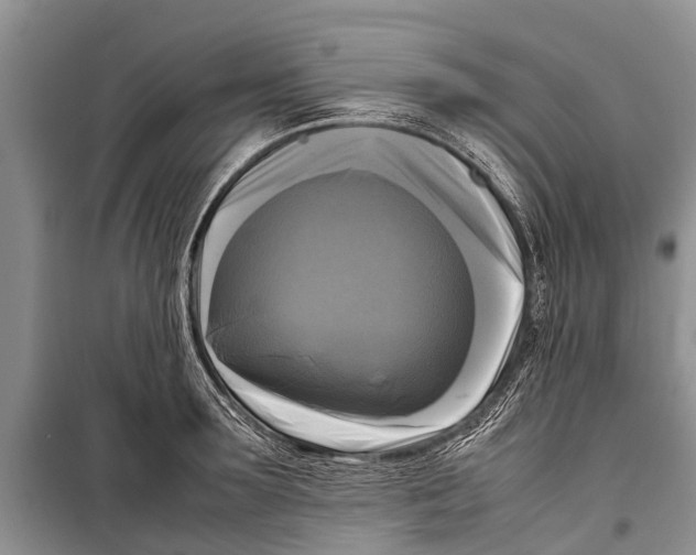 X0000098190899200805151202