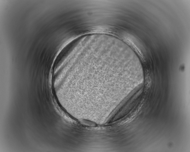 X0000098190900200805151202