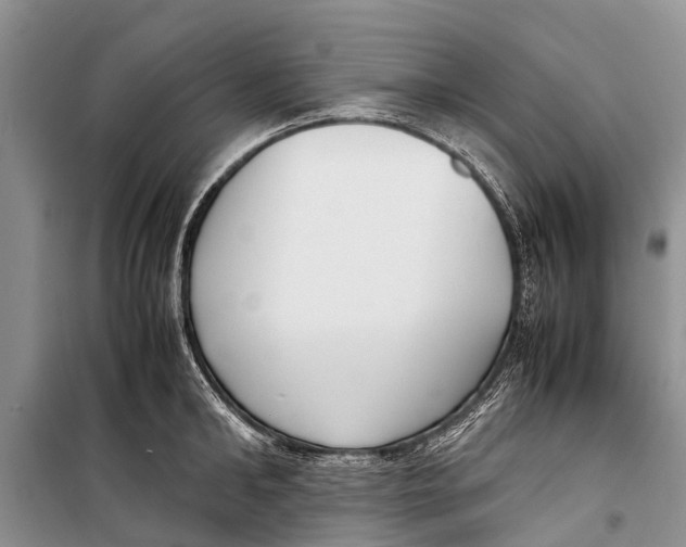 X0000098190902200805151202