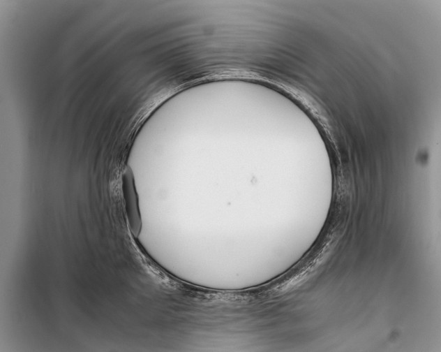 X0000098190905200805151202