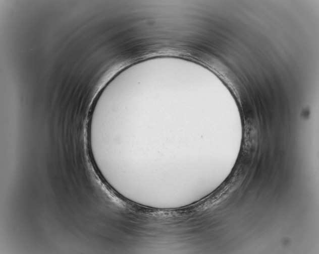X0000098190906200805151202