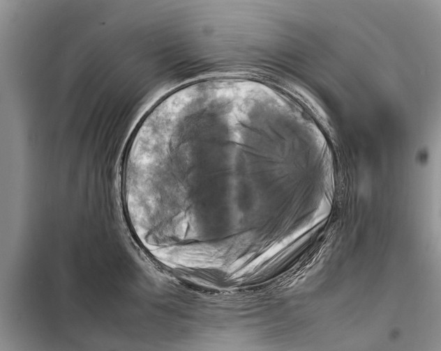 X0000098190907200805151202