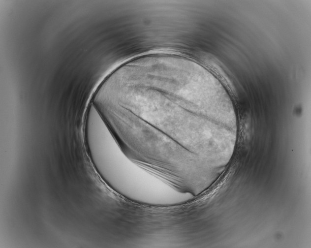 X0000098190908200805151202