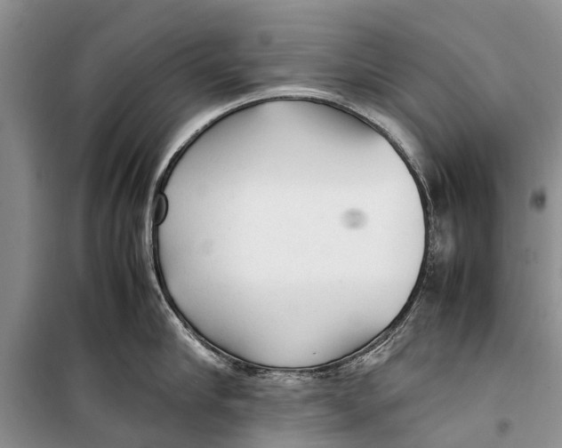 X0000098190910200805151202