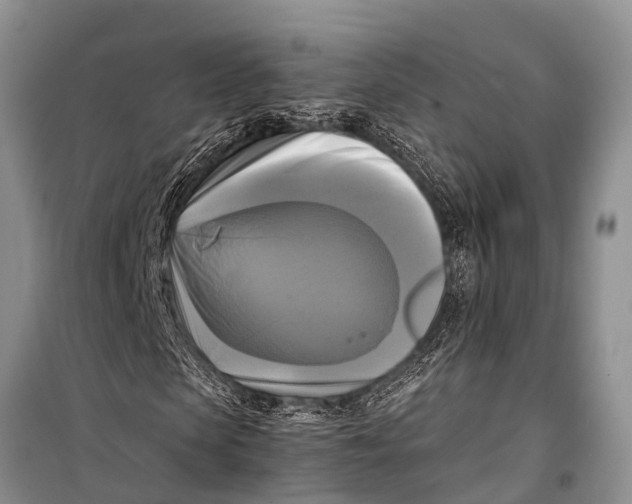 X0000098190913200805151201