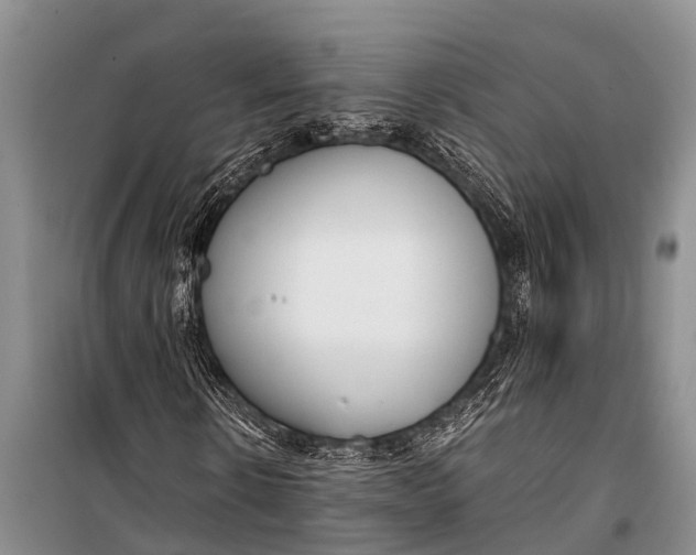 X0000098190914200805151201