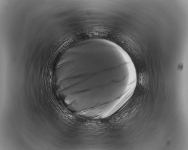 X0000098190915200805151201