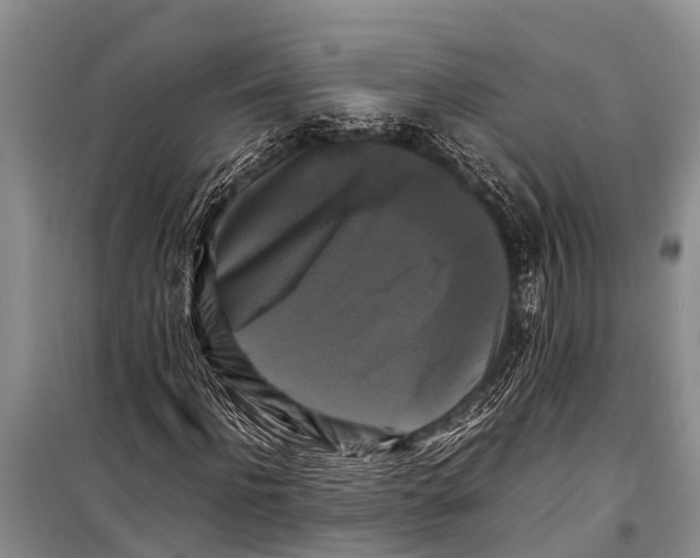 X0000098190916200805151201