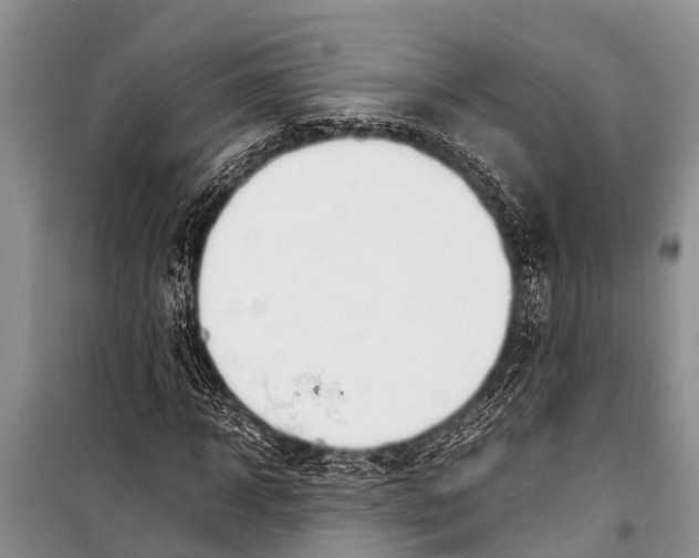 X0000098190918200805151201