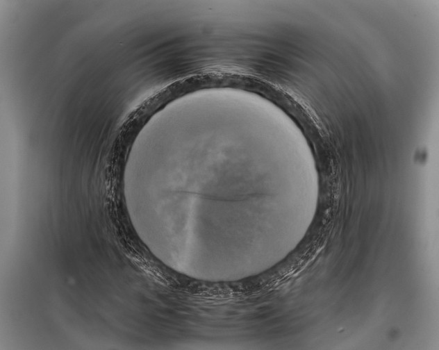 X0000098190919200805151201