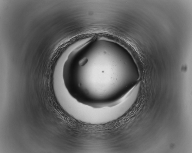 X0000098190920200805151201