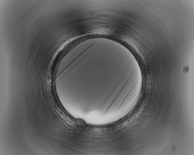 X0000098190923200805151201