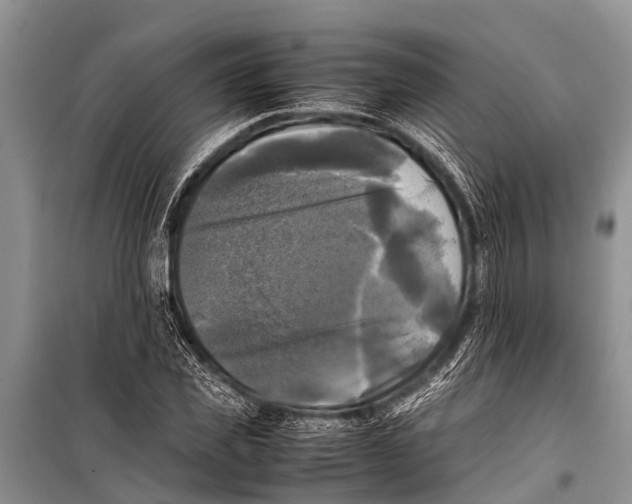 X0000098190925200805151201