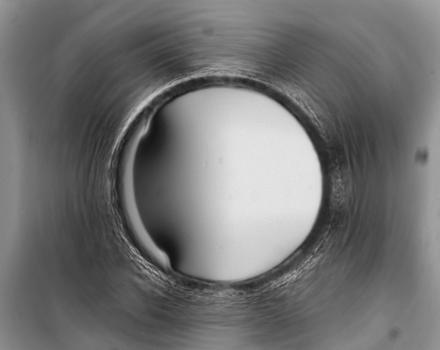 X0000098190926200805151201