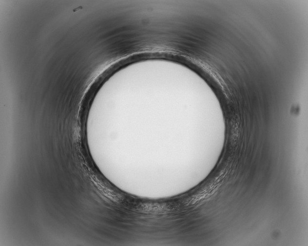 X0000098190927200805151201