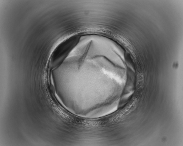 X0000098190928200805151201