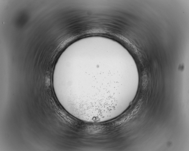 X0000098190929200805151201