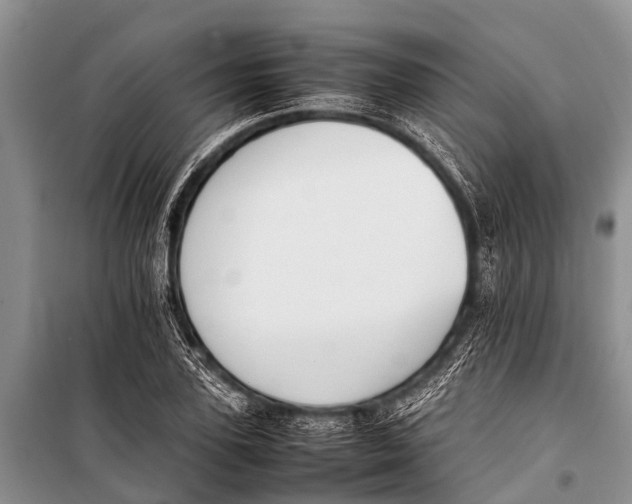 X0000098190931200805151201