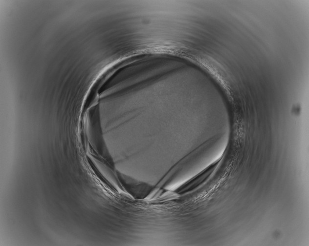 X0000098190932200805151201