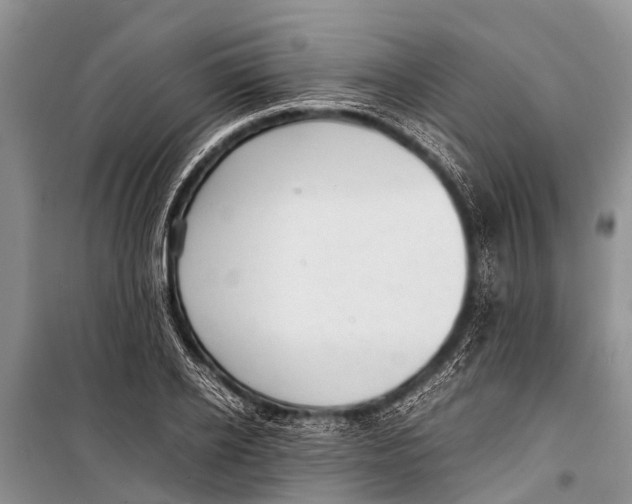 X0000098190934200805151201