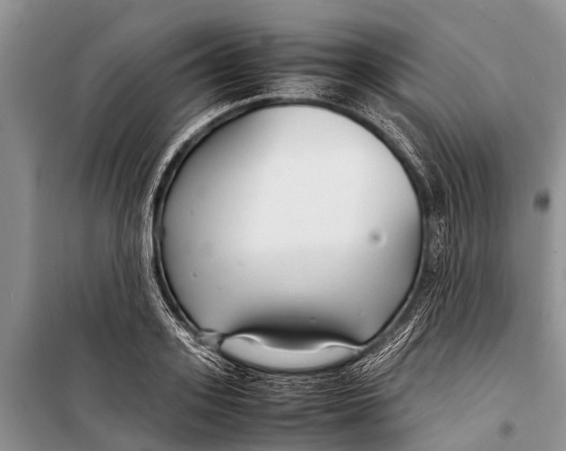 X0000098190939200805151201