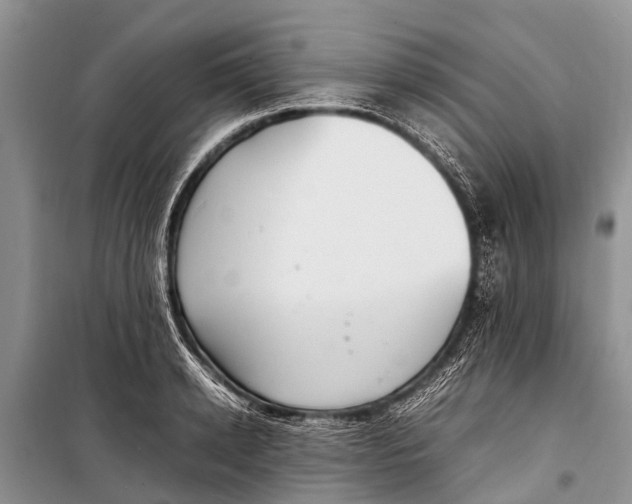 X0000098190942200805151201