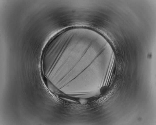 X0000098190943200805151201