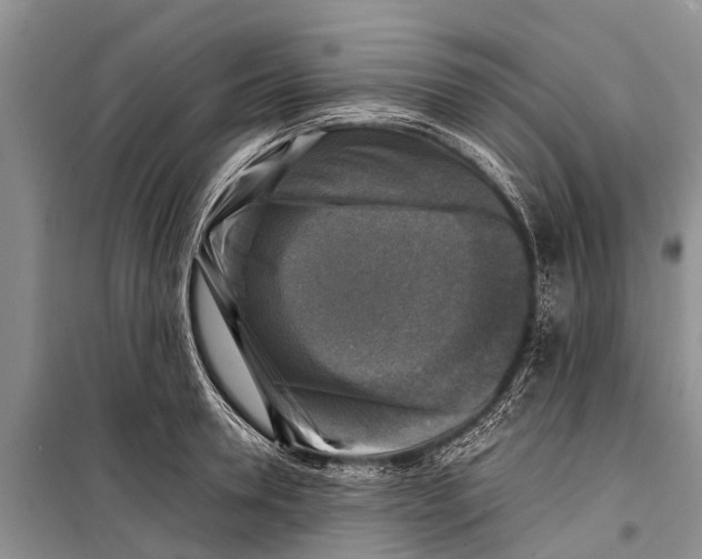 X0000098190946200805151202