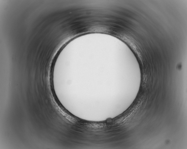 X0000098190947200805151202