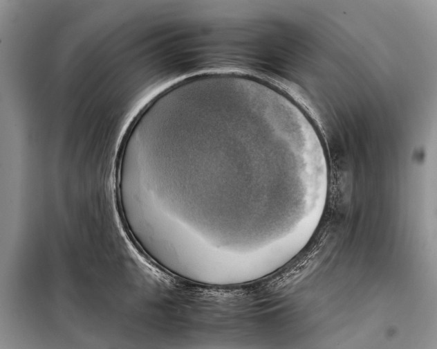 X0000098190951200805151202