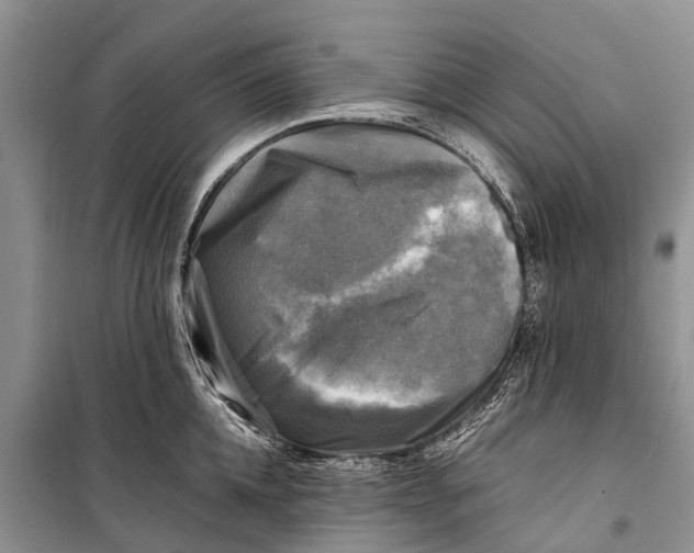 X0000098190952200805151202