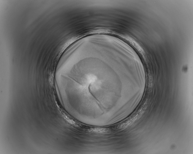 X0000098190953200805151202