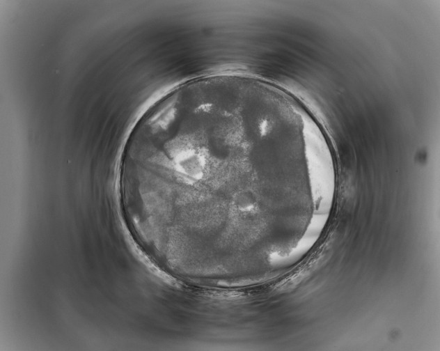 X0000098190957200805151202