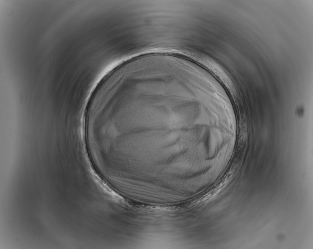 X0000098190958200805151202