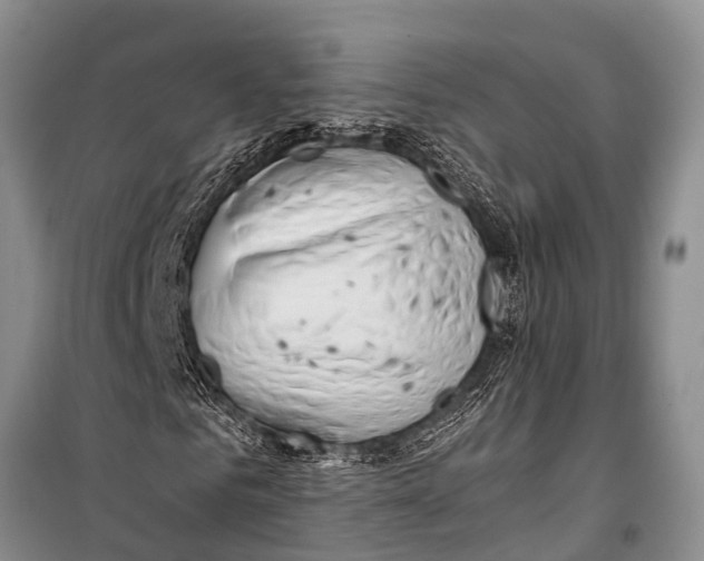 X0000098190961200805151201