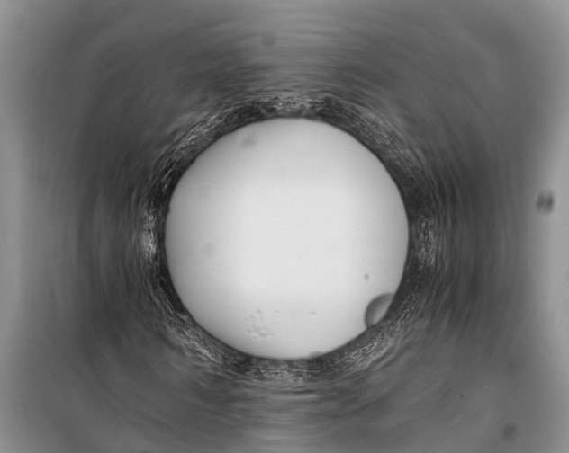 X0000098190962200805151201