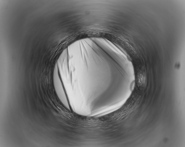 X0000098190964200805151201