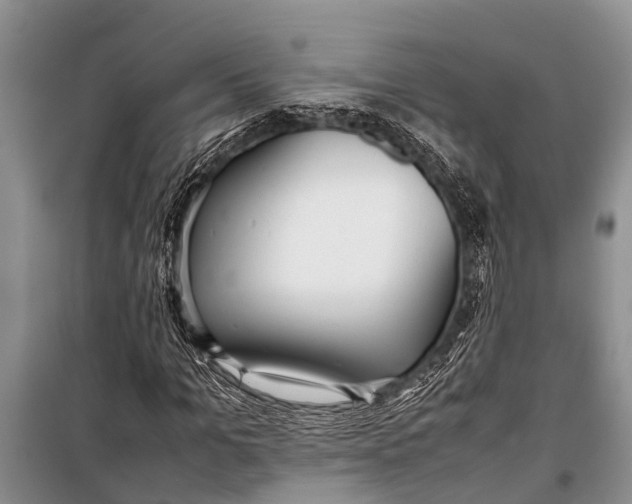 X0000098190965200805151201