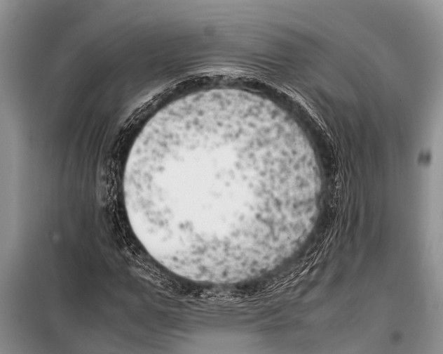 X0000098190967200805151201