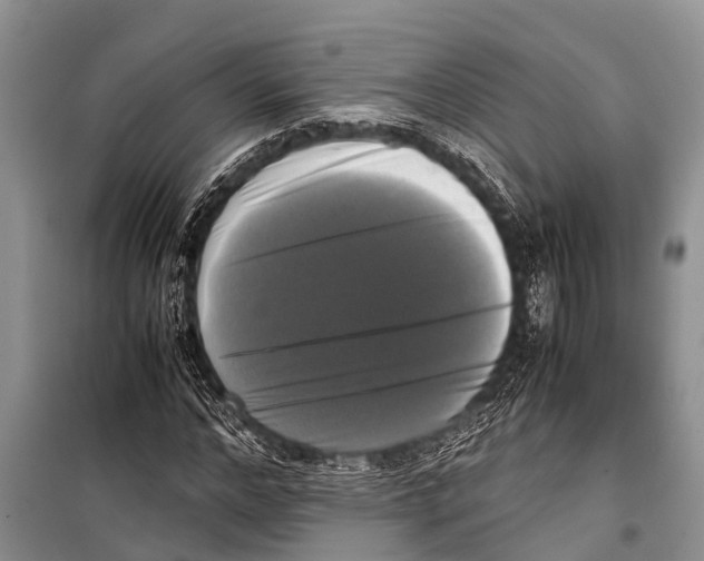 X0000098190968200805151201
